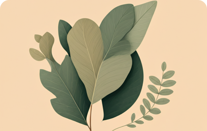 Modern Illustration Course